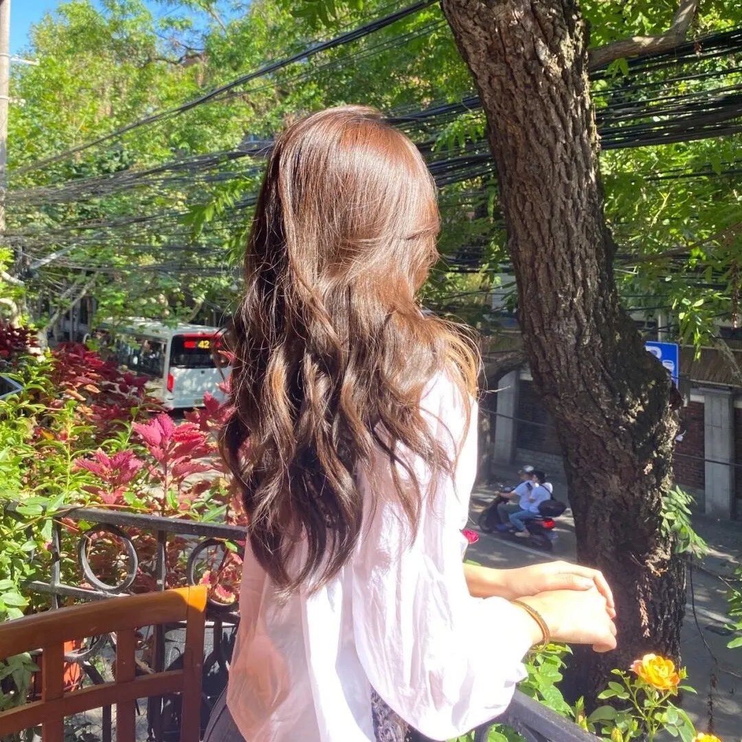 唐娜·芭芭拉