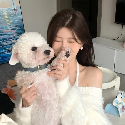 狗纹龙爸爸